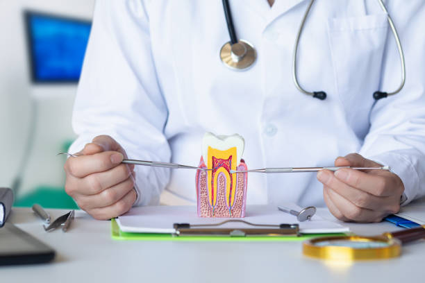 Best Emergency Root Canal Treatment in Barboursville, WV